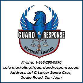 guard and response